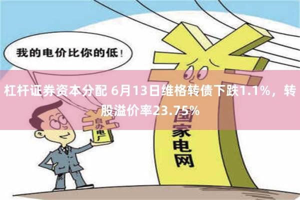 杠杆证券资本分配 6月13日维格转债下跌1.1%，转股溢价率23.75%