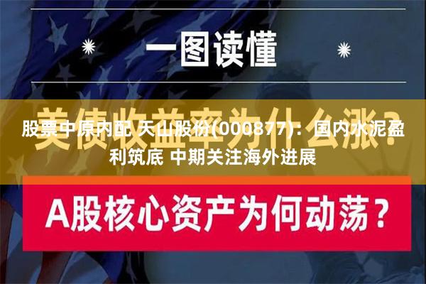 股票中原内配 天山股份(000877)：国内水泥盈利筑底 中期关注海外进展