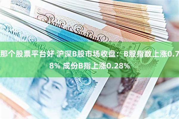 那个股票平台好 沪深B股市场收盘：B股指数上涨0.78% 成份B指上涨0.28%