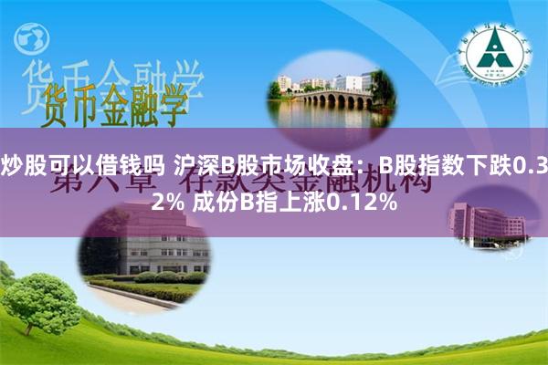 炒股可以借钱吗 沪深B股市场收盘：B股指数下跌0.32% 成份B指上涨0.12%