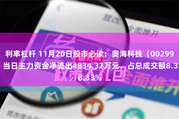 利率杠杆 11月20日股市必读：奥海科技（002993）当日主力资金净流出483