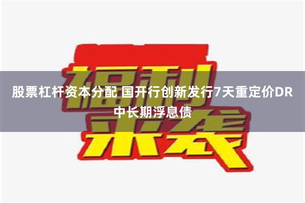 股票杠杆资本分配 国开行创新发行7天重定价DR中长期浮息债