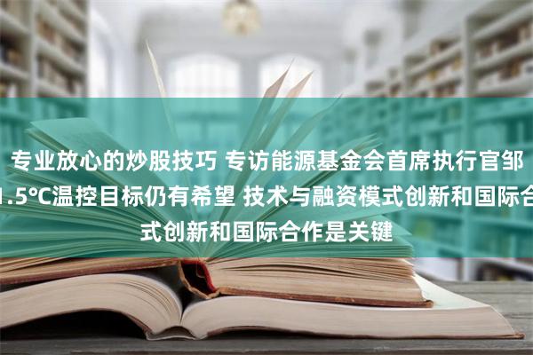 专业放心的炒股技巧 专访能源基金会首席执行官邹骥：实现1.5℃温控目标仍有希望 