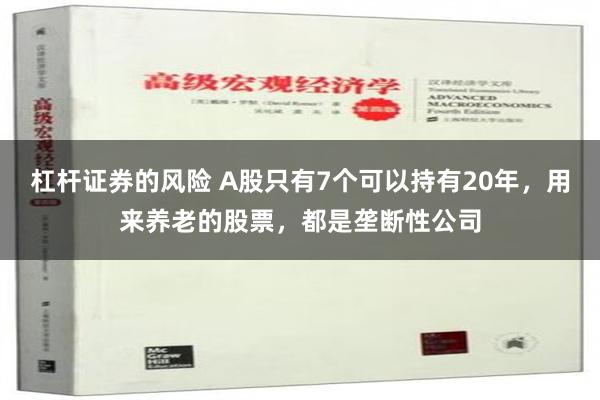 杠杆证券的风险 A股只有7个可以持有20年，用来养老的股票，都是垄断性公司