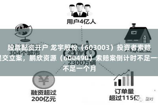 股票配资开户 龙宇股份（603003）投资者索赔再提交立案，鹏欣资源（60049