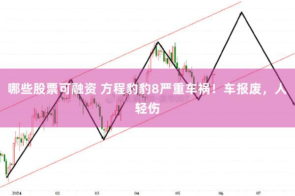 哪些股票可融资 方程豹豹8严重车祸！车报废，人轻伤