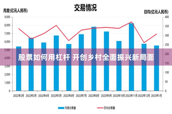 股票如何用杠杆 开创乡村全面振兴新局面