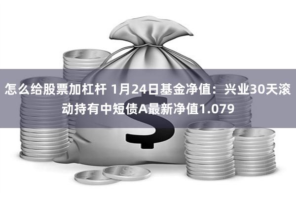 怎么给股票加杠杆 1月24日基金净值：兴业30天滚动持有中短债A最新净值1.07