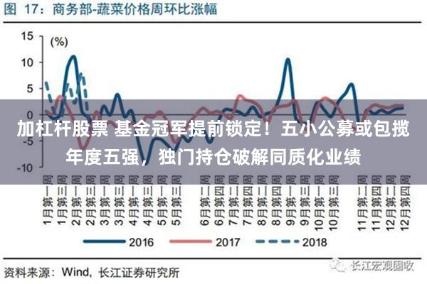 加杠杆股票 基金冠军提前锁定！五小公募或包揽年度五强，独门持仓破解同质化业绩